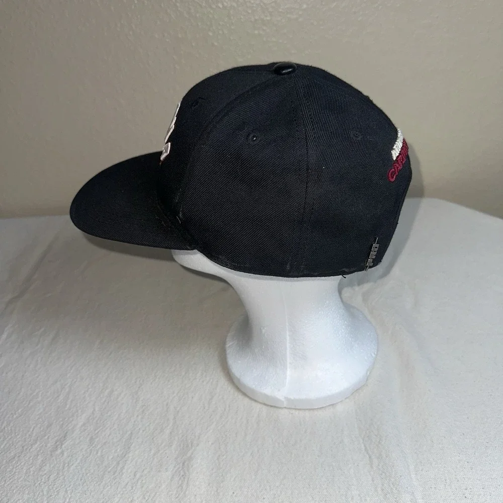 Arizona Cardinals Pro Standard Stacked Logo Black Snapback NFL Luxury Collection
